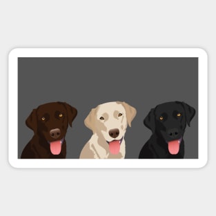 Three Adorable Labradors Sticker